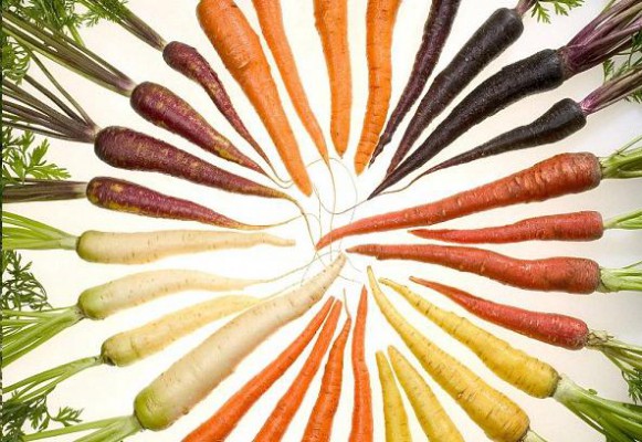 carrots-bio