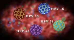 Ιός HPV: Με ποιες μορφές καρκίνου συνδέεται