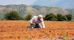 Αγρότες: Αυξάνονται οι δικαιούχοι της εξισωτικής αποζημίωσης
