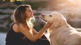 Άνθρωποι και σκύλοι «ανταλλάσσουν» στοιχεία της προσωπικότητάς τους, δείχνει νέα έρευνα