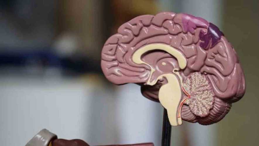 Πρωτοποριακή θεραπεία στοχεύει τον όγκο στον εγκέφαλο πριν την εγχείρηση