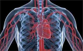 Ανεύρυσμα καρδιάς: Δείτε πού οφείλεται και τι μπορεί να προκαλέσει