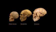 Απολογισμός 2021: Τι μάθαμε για το παρελθόν της ανθρωπότητας από τις αρχαιολογικές ανακαλύψεις