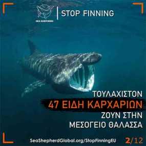 Ακόμα δέκα ημέρες για να ψηφίσουμε την απαγόρευση του εμπορίου πτερυγίων καρχαρία στην ΕΕ