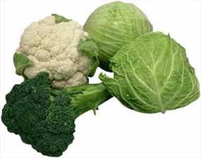 Το μπρόκολο και το λάχανο διατροφικές «ασπίδες» προστασίας για τον καρκίνο