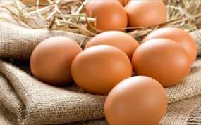 Πόσα αυγά μπορείτε να καταναλώνετε άφοβα; Οι επιστήμονες απαντούν