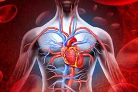 Τα συμπτώματα της καρδιακής προσβολής στις γυναίκες – Τα κοινά με τους άντρες