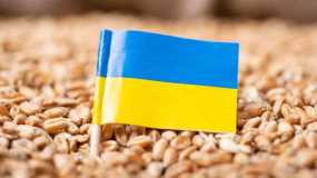Πόλεμος στην Ουκρανία: Παραμένει το αδιέξοδο ως προς τις εξαγωγές σιτηρών και λιπασμάτων από τη Ρωσία