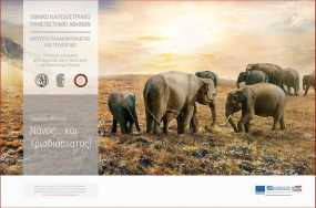 Elephas tiliensis: Νάνος… και τρισδιάστατος