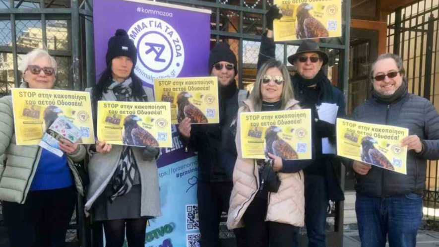 Κόμμα για τα Ζώα:Διαμαρτυρία για την κακοποίηση του αετού Οδυσσέα από την ΠΑΕ ΑΕΚ
