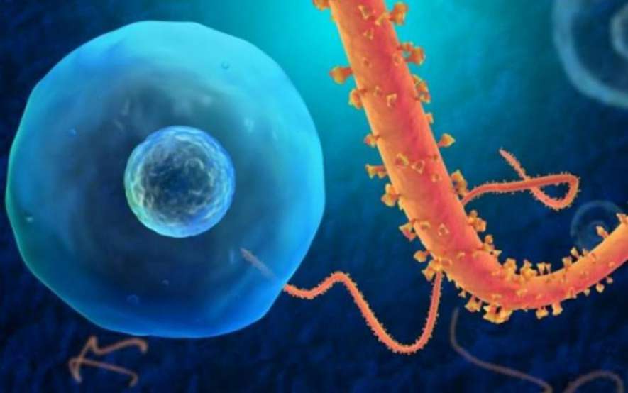 Πέντε ιοί, πιο τρομακτικοί από τον Έμπολα