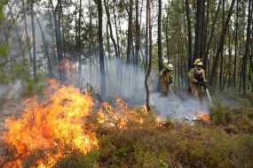 Πορτογαλία: «Μάχη» με τις φλόγες στον εθνικό δρυμό της Σέρα ντα Εστρέλα – Αναζωπυρώθηκε η φωτιά