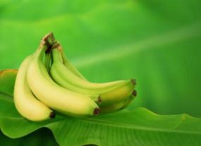 Γιατί πρέπει να τρώτε άγουρες μπανάνες