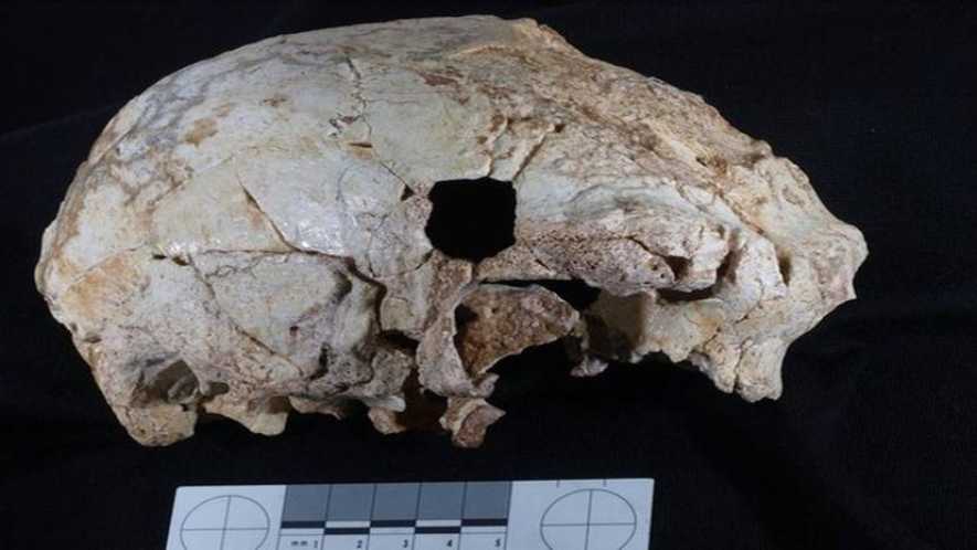 Ανακαλύφθηκε προανθρώπινο κρανίο 400.000 ετών