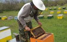 Έφυγαν οι αγρότες έρχονται οι μελισσοκόμοι – Σήμερα αποφασίζουν για το μέλλον των κινητοποιήσεων τα μπλόκα