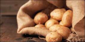 Έρευνα: Εκχύλισμα πατάτας μπορεί να εμποδίσει την παχυσαρκία
