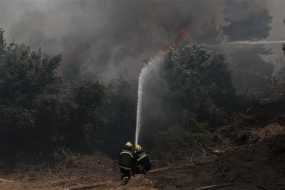 Πυροσβεστική: Νέα φωτιά στην Εύβοια – Σε εξέλιξη η μάχη στο Άγιο Όρος και τα Ιωάννινα