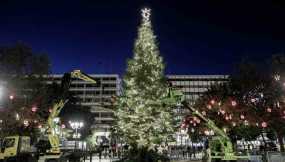Σύνταγμα: Έφτασε το χριστουγεννιάτικο δέντρο από το Καρπενήσι – Έχει ύψος 21 μέτρα και βάρος 6 τόνους