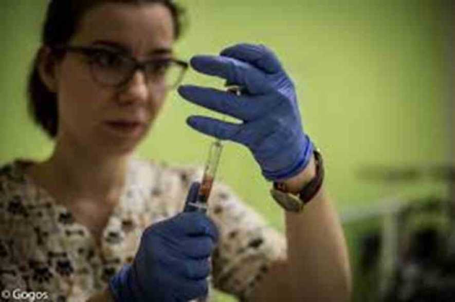 Κορονοϊός: Εκατό έφηβοι 15-17 έκαναν το εμβόλιο στα Τρίκαλα