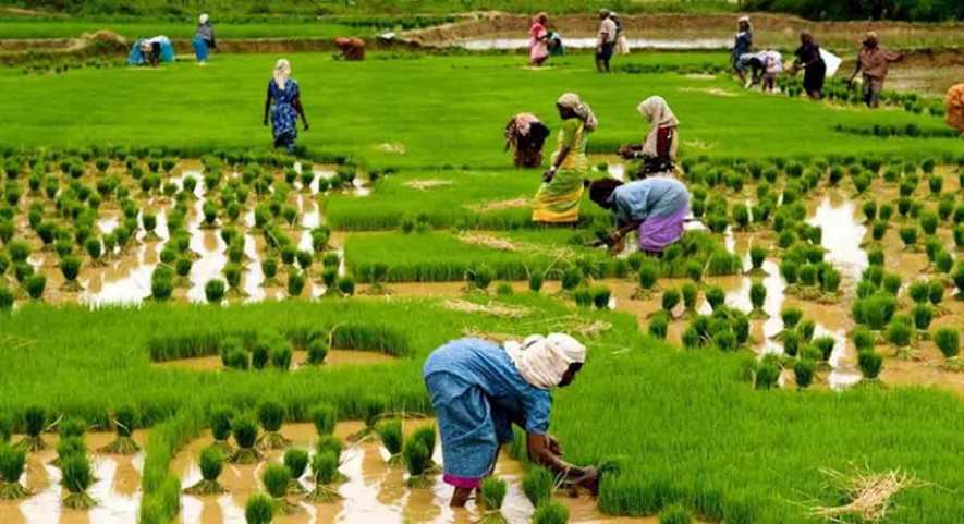 Ινδία: Γραμμή πίστωσης 3,07 δισ. δολάρια στους αγρότες